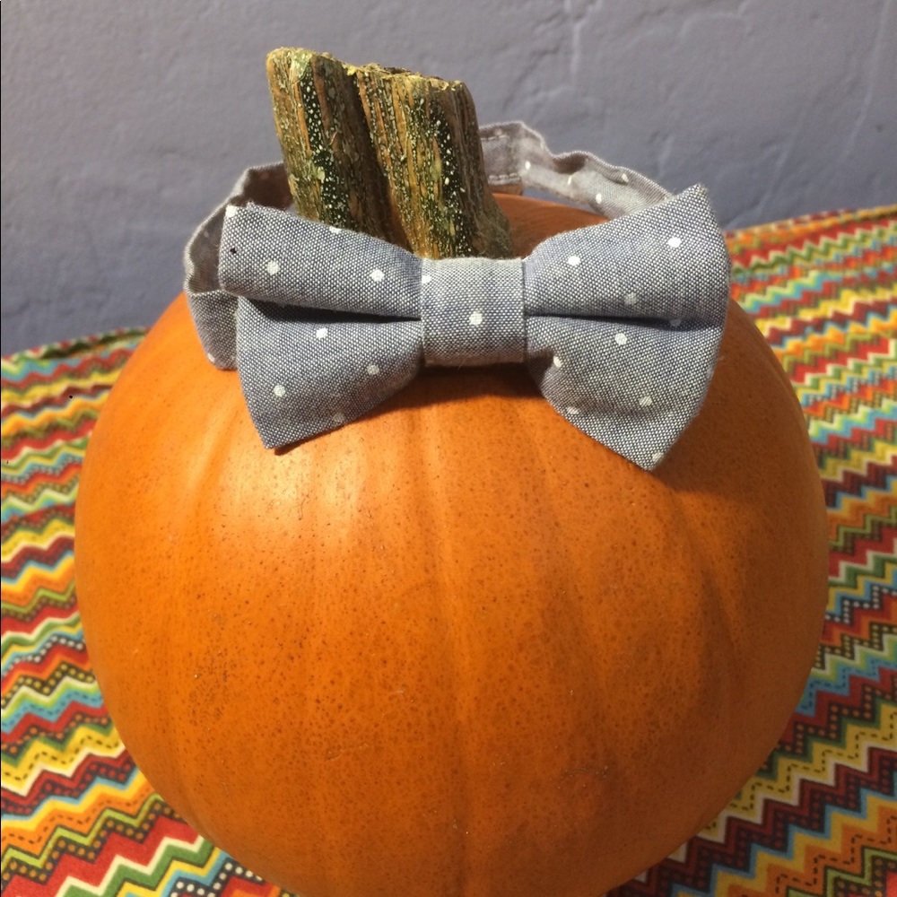 Blue Polka Dotted White Baby Bow Tie